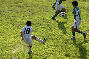 2004-0718-300.gif